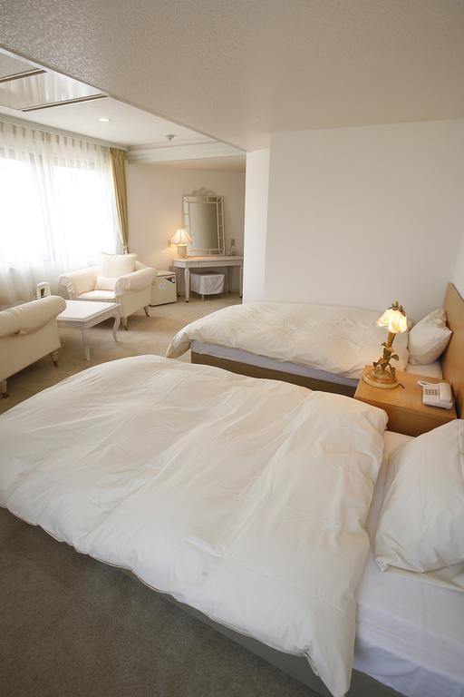 Hikone Biwako Hotel Екстер'єр фото