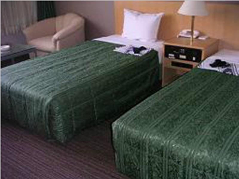 Hikone Biwako Hotel Екстер'єр фото